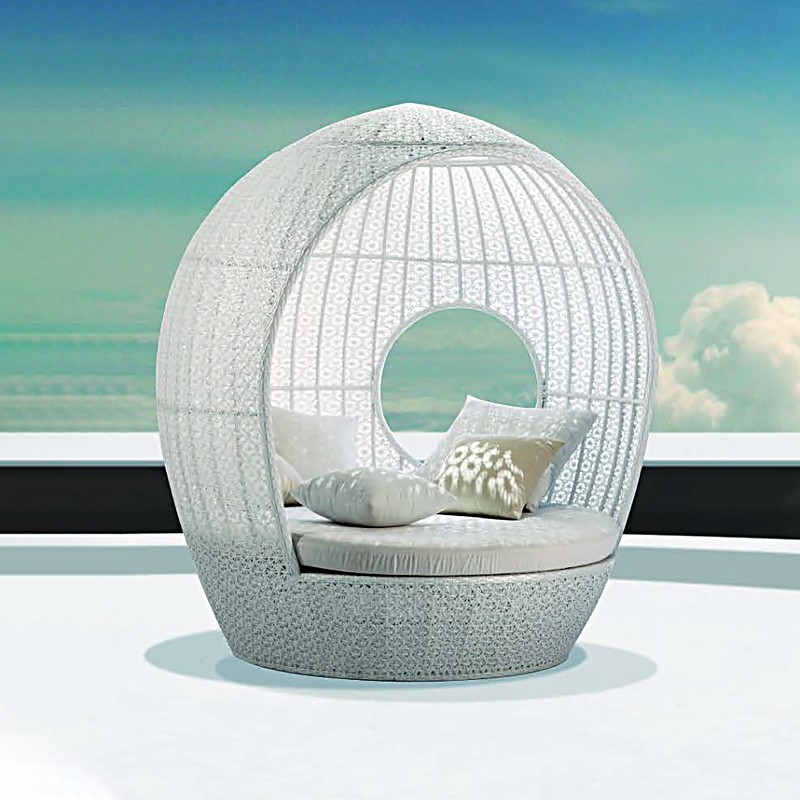 CF41 6631 Daydream Mr Dream